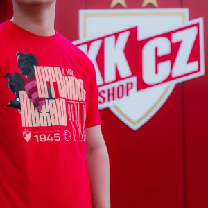 MAJICA STO NE MOZE NIKO MOZES TI